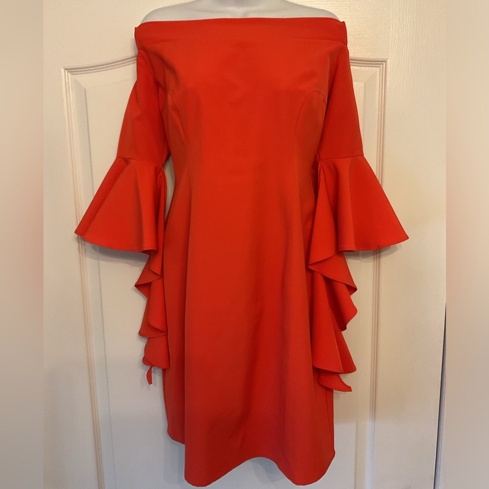 NWT Grazia off the shoulder bell sleeve Dress